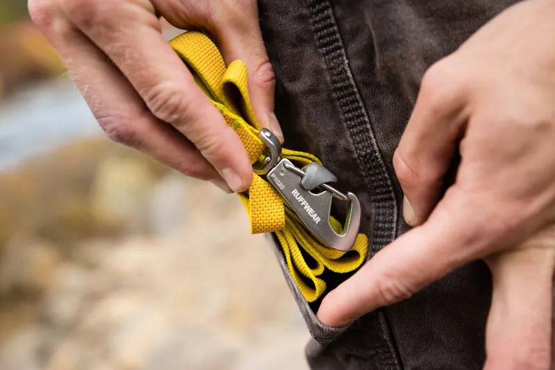 Ruffwear Hi and Light Dog Leash Lichen Green-7